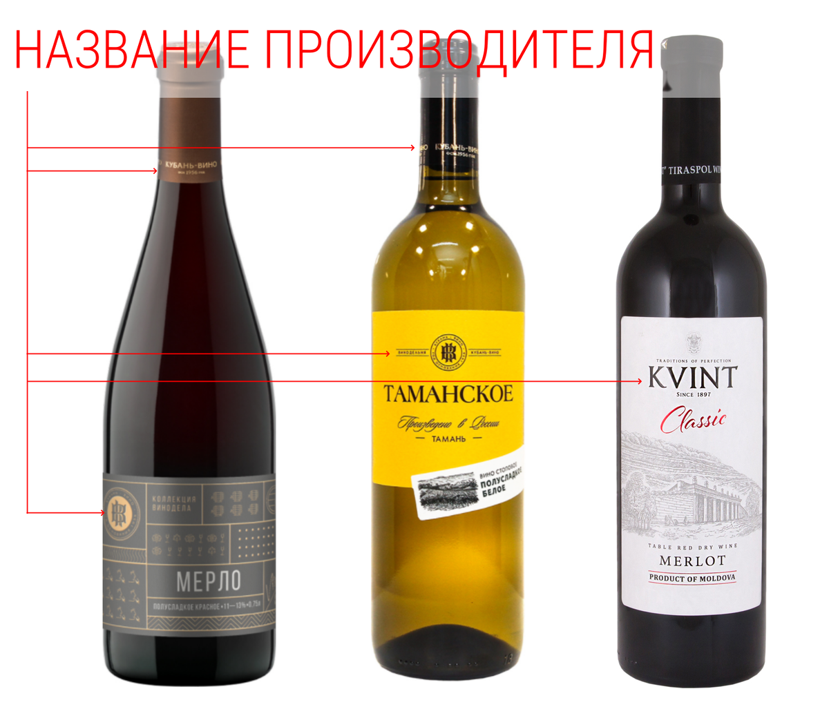 Чем отличается сухое. Вкусное вино в Красном и белом. Как выбрать вкусное вино. Полезное вино. Сухое и полусухое вино чем отличаются.