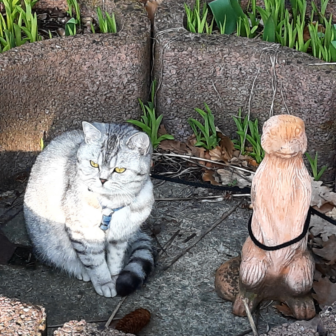 Обдумывает план побега