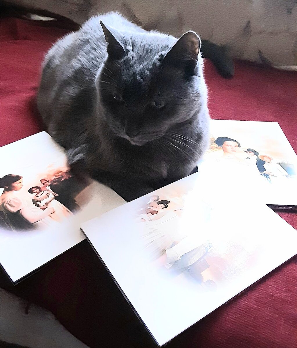 Помогает выбрать фильмы к просмотру