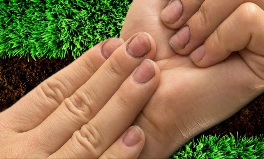 Как правильно очистить руки и ногти после работы в саду: лучшие советы и рекомендации
