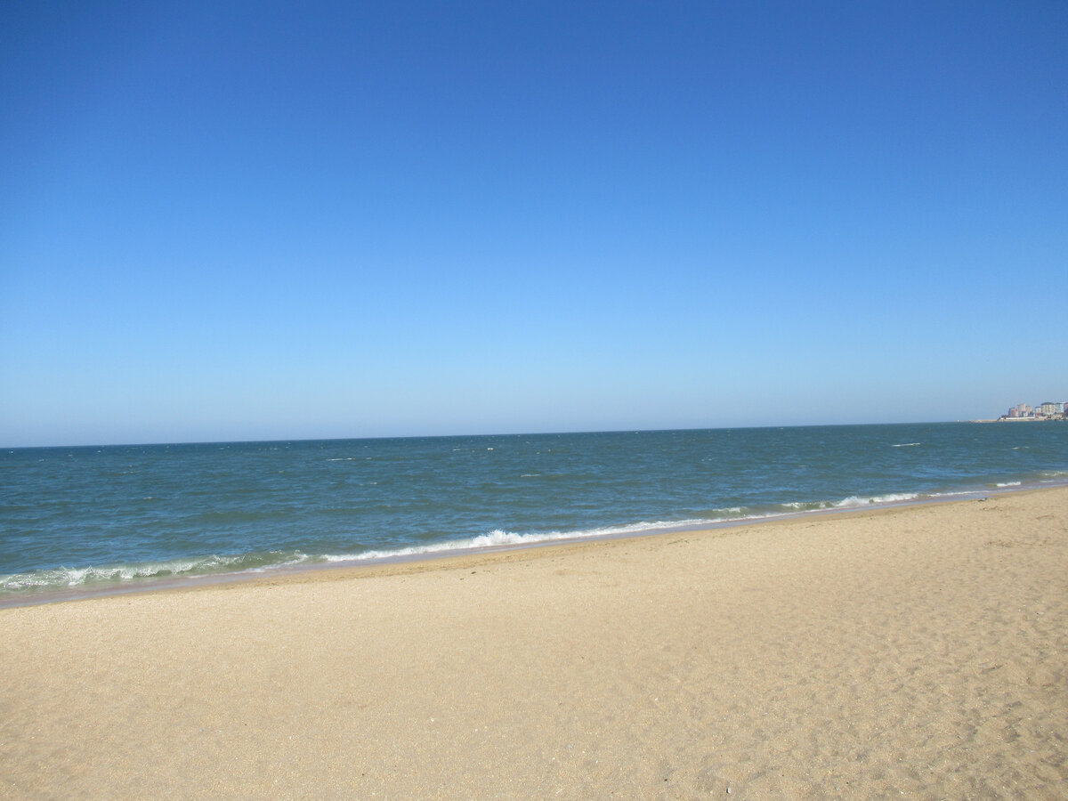 Вода в море дагестан. Змеи в Каспийском море в Дагестане летом.