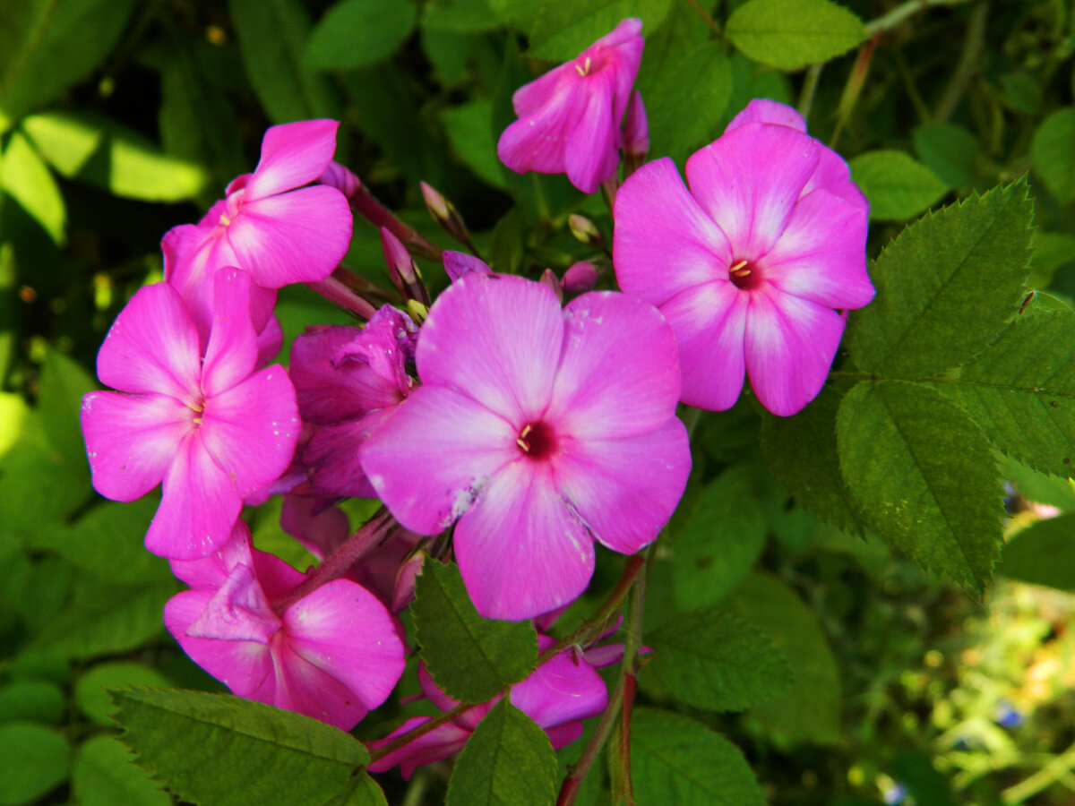 фото автора канала