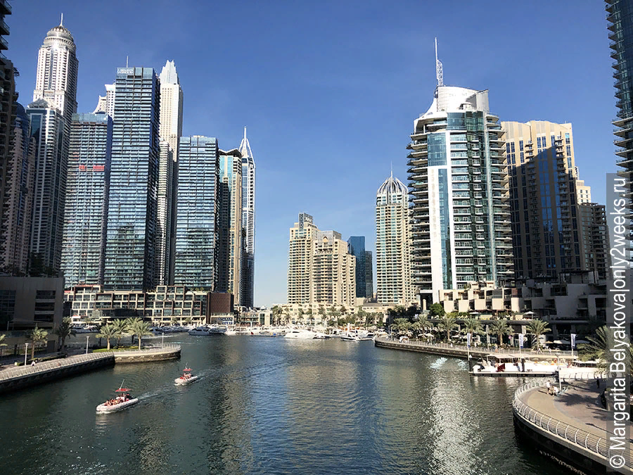 Дубай stella di dubai marina 5