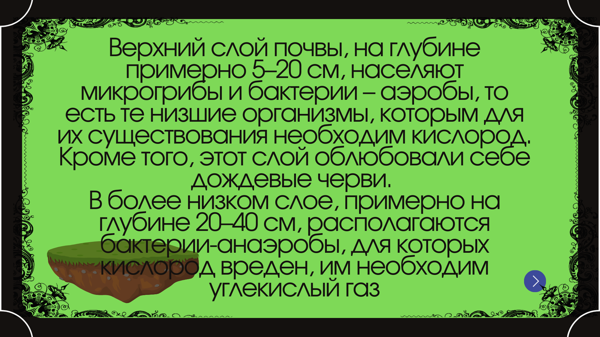 Правильная обработка почвы на участке | Сад и огород | Дзен