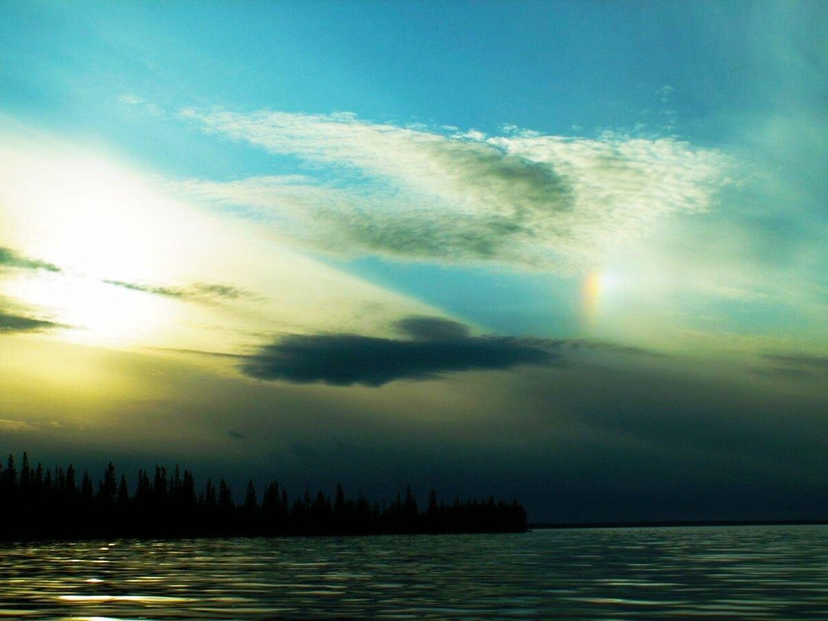 Однажды в тайге...