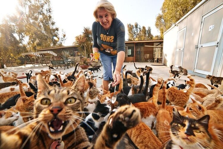 Фото из открытых источников