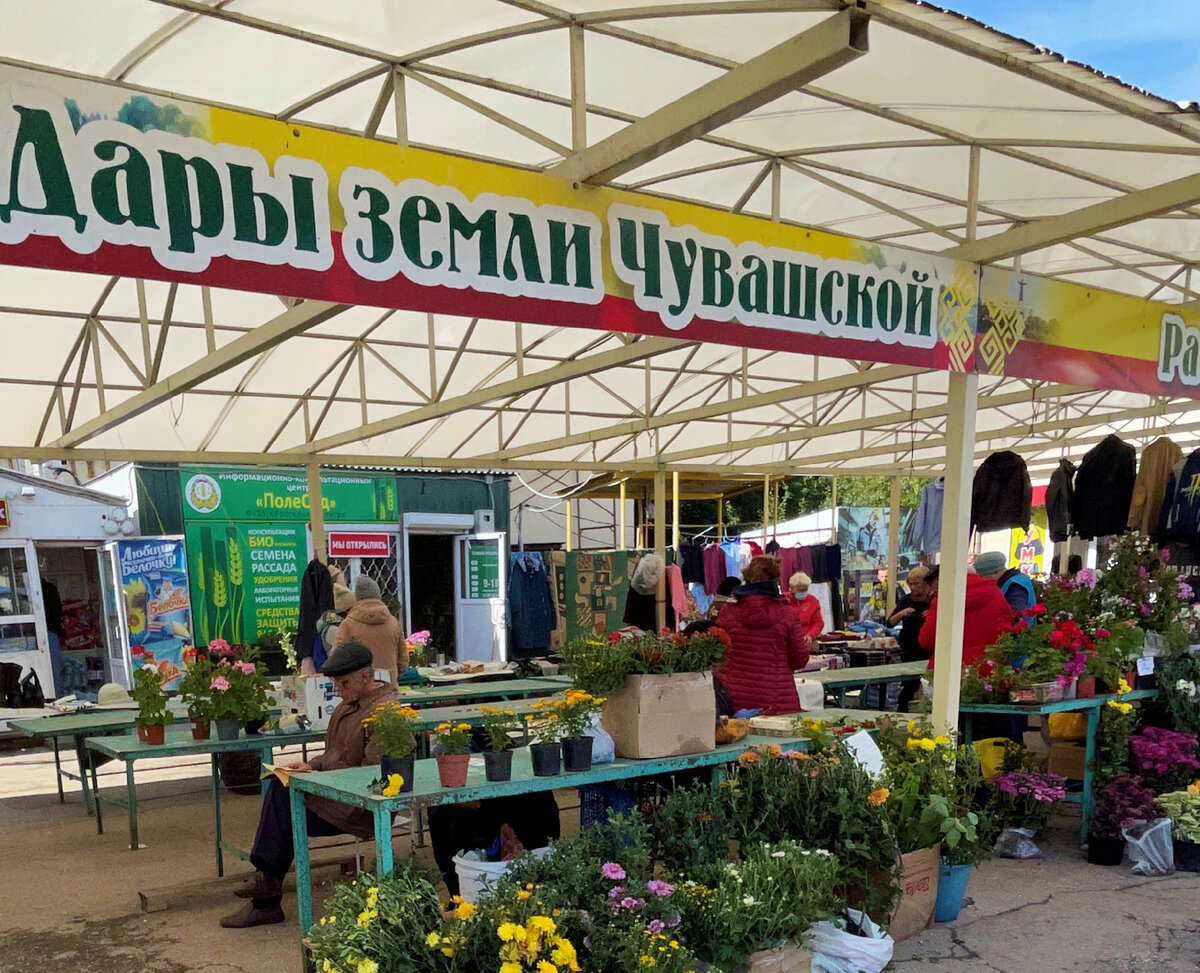 Южная ярмарка. Рынок ярмарка. Южный рынок чебоксары. Рынок южная ярмарка белгород. Южная ярмарка.