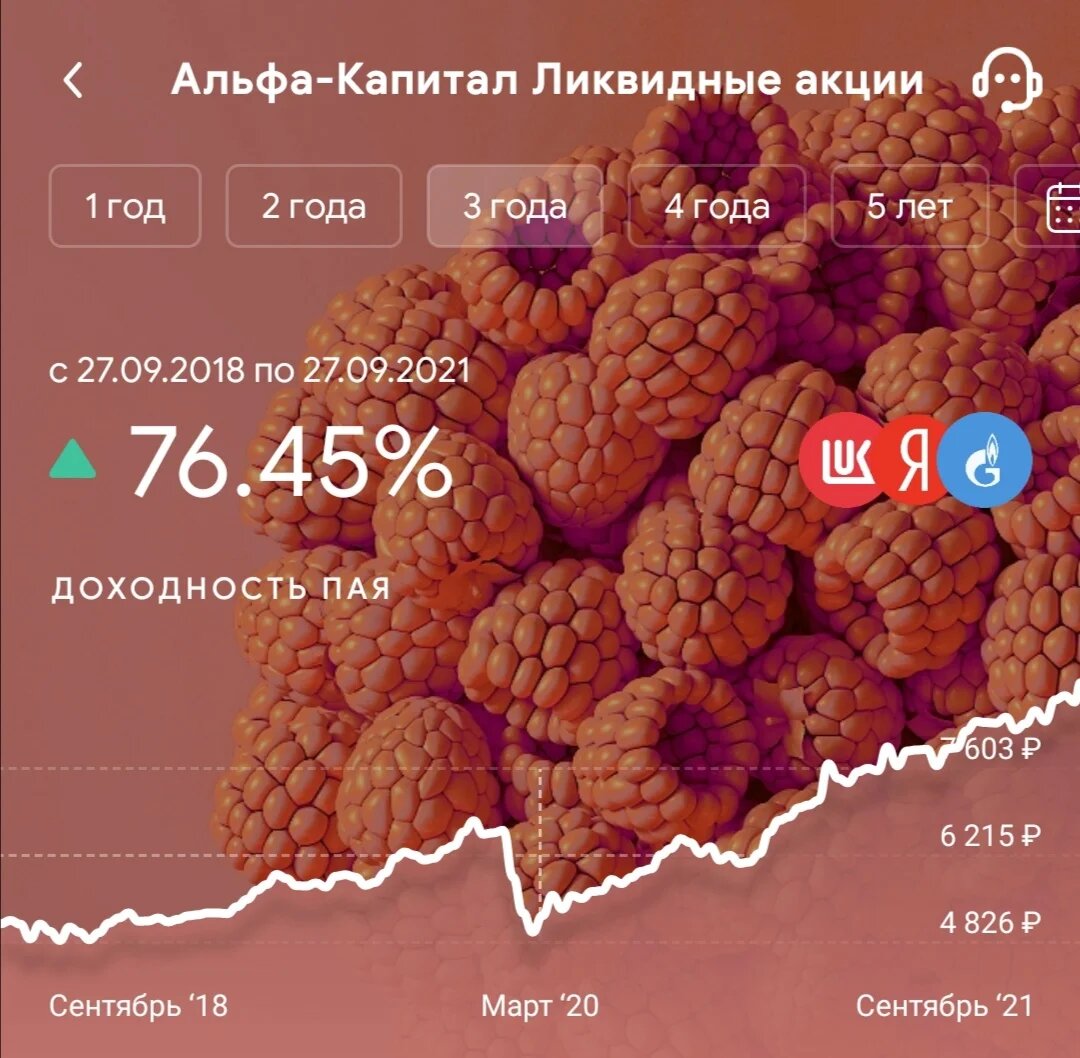 Фонд «Ликвидные акции» пополнил семейную казну еще на 134 208 ₽