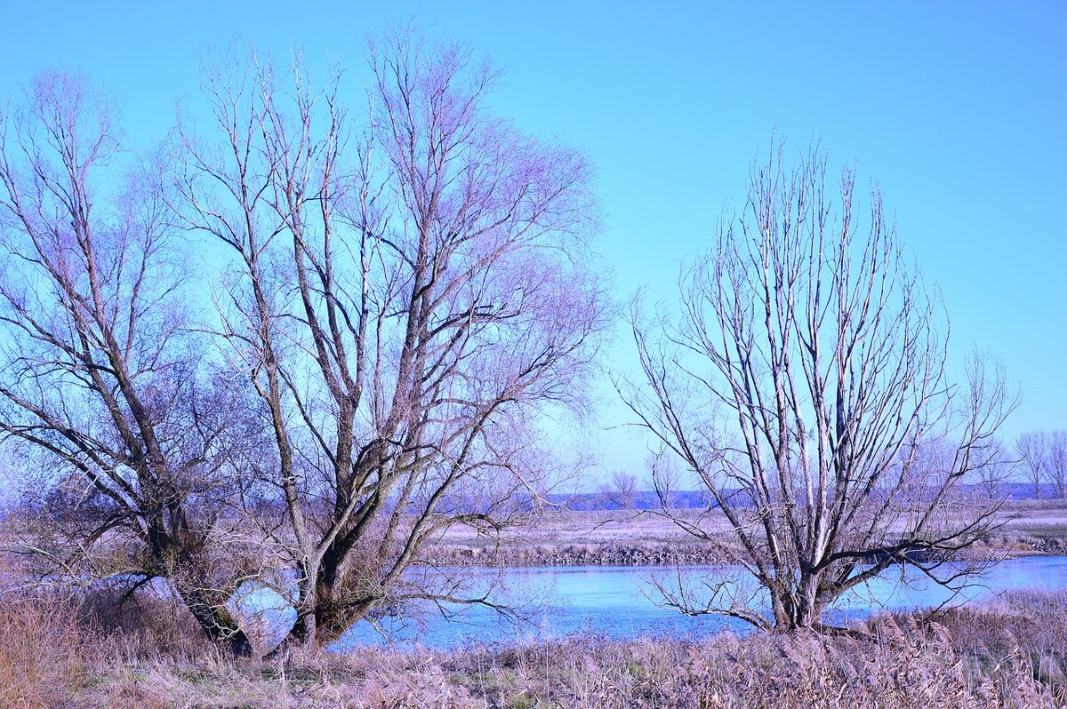 фото с сайта pixabay