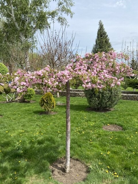 Природа Парка Лога 