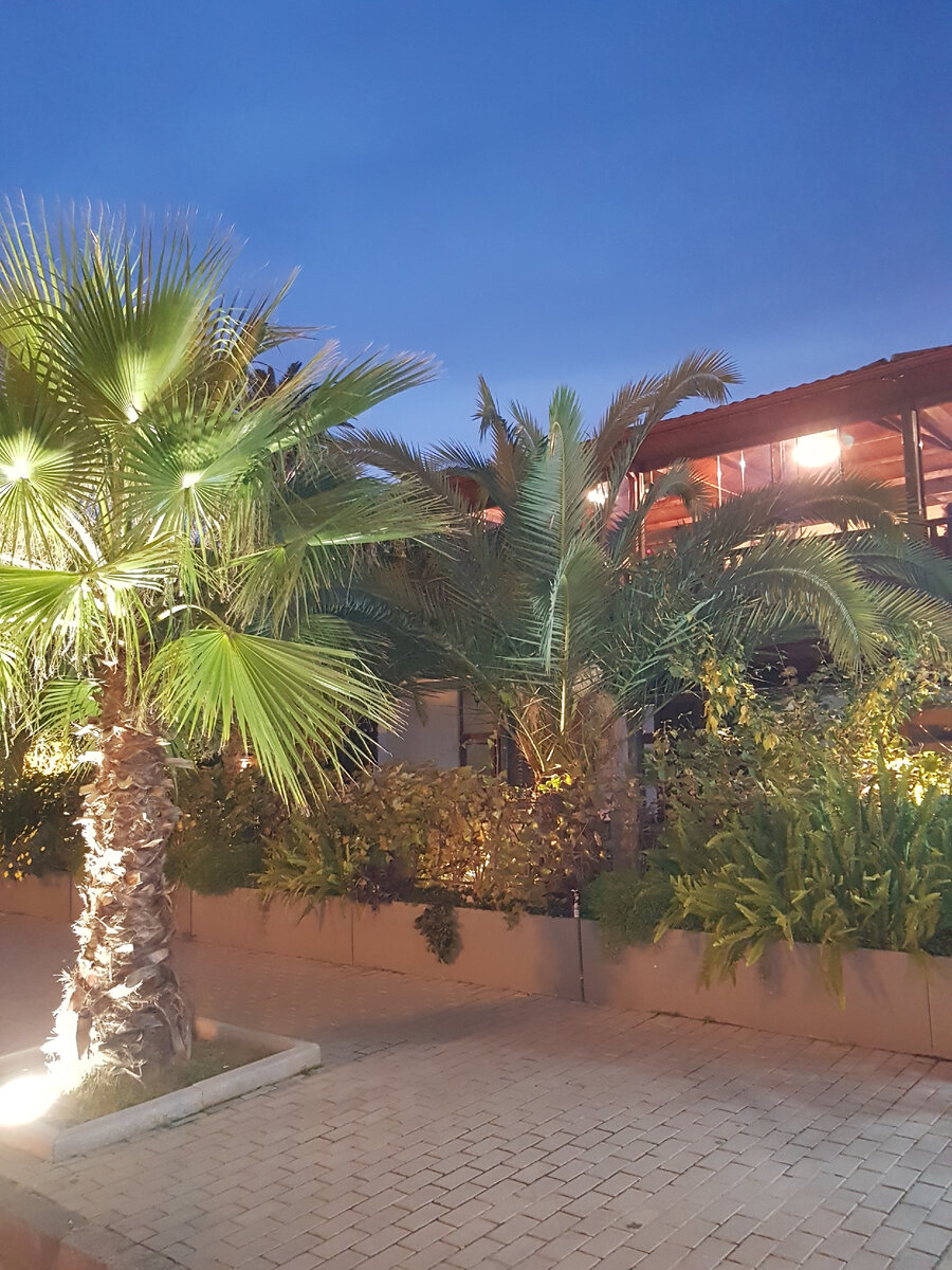 Сухум. Нартаа