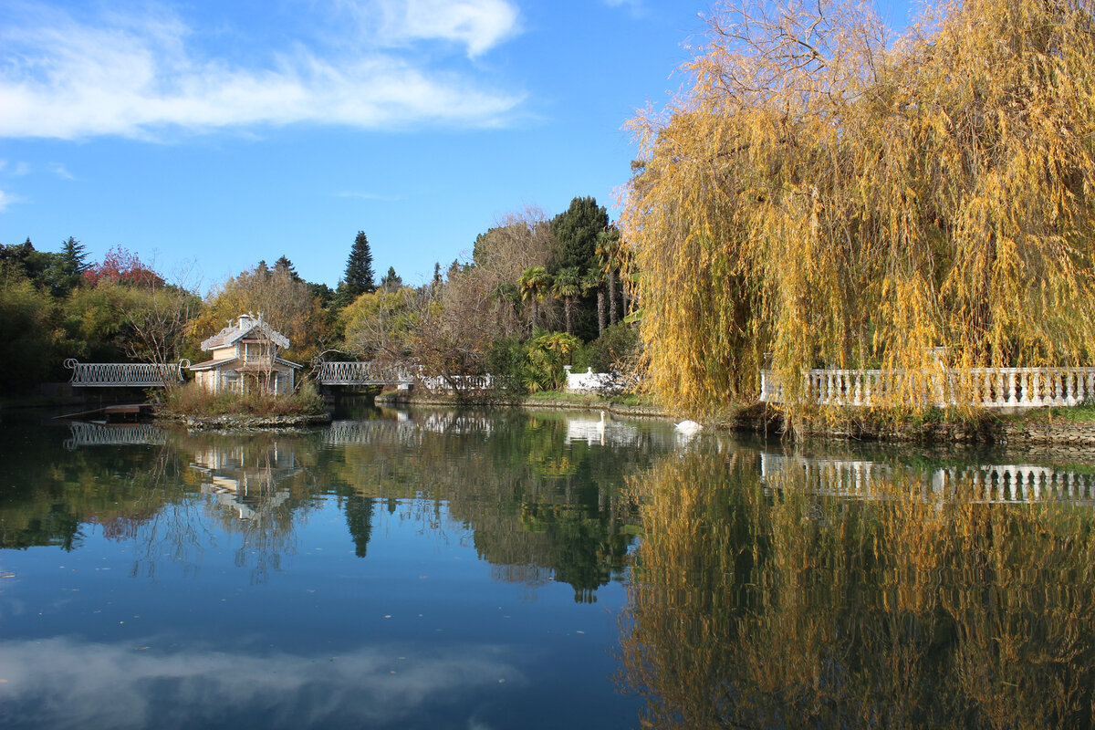 Парк Южные Культуры. Фото автора