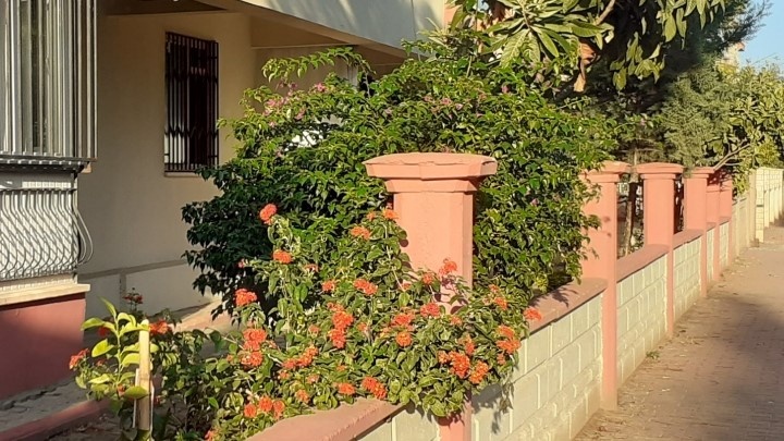 Типично турецкий дом. Фото автора