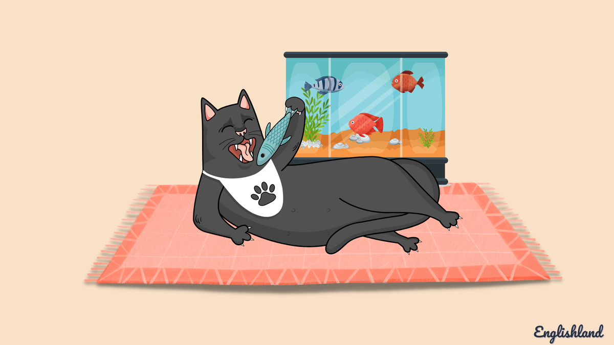 Говорят, изображения с котиками привлекают внимание. Ну что же, посмотрим :))