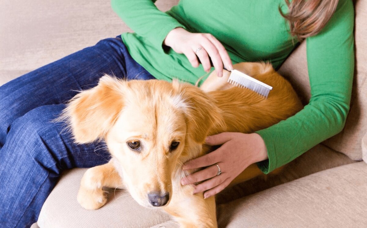 Фото: severdv.ru