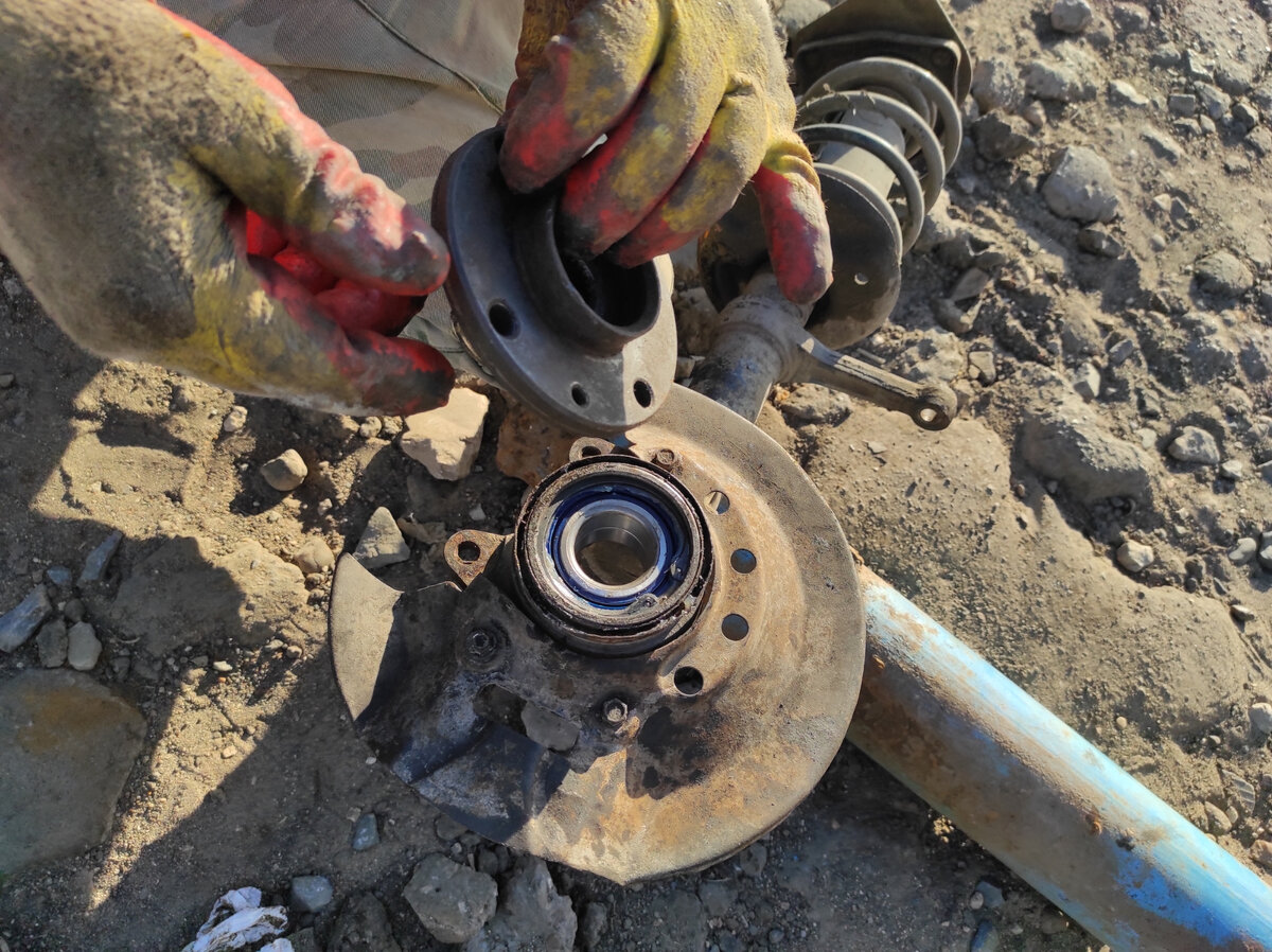 Фото взято с Яндекс картинки.