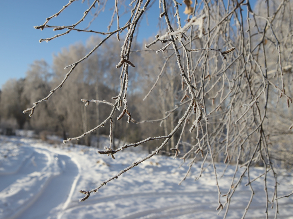 До Рождества осталось совсем немного. Поэтому следует провести последние дни Рождественского поста правильно. Фото: Pxfuel.com 