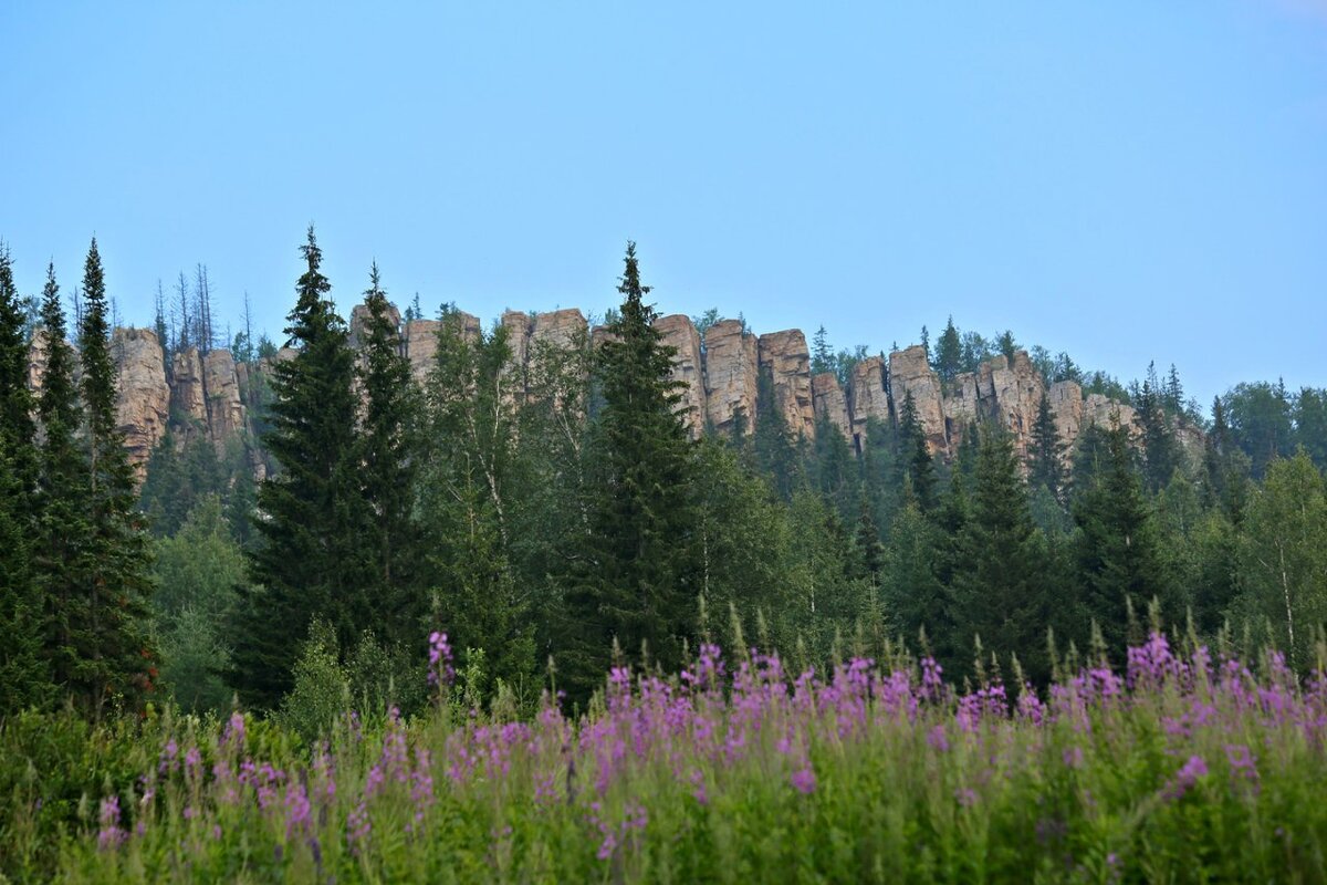 Скалы