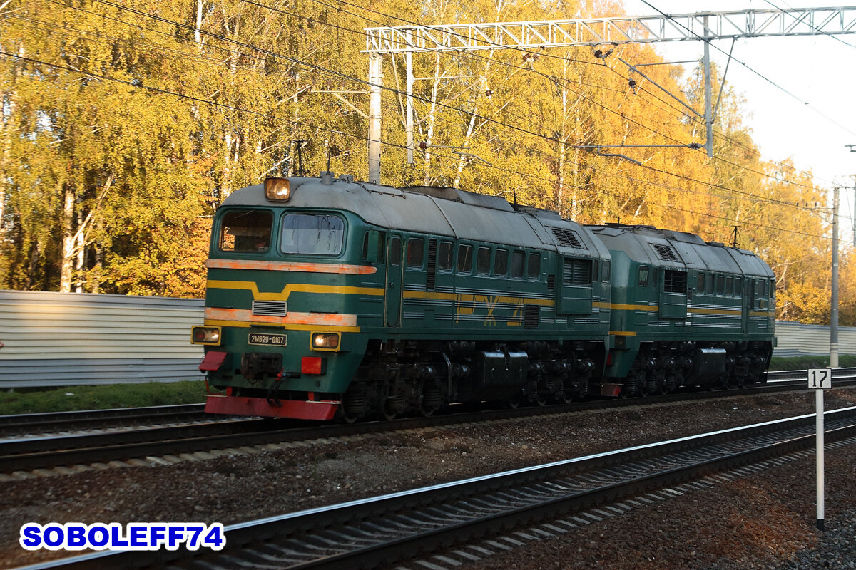 Тепловоз 2М62У-0107. Перегон Реутово - Железнодорожная Московской железной дороги. Октябрь 2010 года