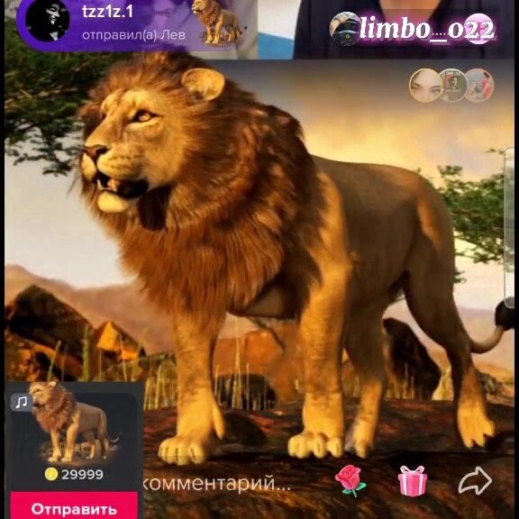 Ну и собственно развязка всей этой истории и главная грязь или как деньги портят людей. Мне приходит гениальная мысль. Моя на тот момент мадам внешне 10/10.
Мне в голову приходит мысль, что можно вести ей инстаграм и тик ток, если взлетит, то срубим много денег и дальше уже можно открывать бизнесы и делать хоть что, и не заниматься этим всем. Так как у нее фигура от природы узкая талия и бомбическая попа ноги и все остальное.

Создали страничку в инсту, создали тик ток, на ее номер телефона, а зря.
Деньги с юр услуг мадам откладывает себе на карту, живем полностью за мой счет, мне это дико не нравится, ибо живем на широкую ногу и я не коплю деньги от слова совсем.

Снимали в тик ток сперва юр услуги, какие - то упражнения, ничего не заходило. Она расстраивалась, я говорил все ок, все выстрелит. В итоге через 2 месяца тик ток стал жестко стрелять, видос с жопой попал в рекомендации и стали снимать тупо жопу😁 и фигуру.

По плану мы должны были на этом заработать деньги, а дальше она перестает этим всем заниматься и мы делаем бизнес с этих денег, ибо тик ток и ее внешность потенциал дикий.

За 4 месяца в тик ток набилась аудитория в 1,2 млн мужиков, которые дрочили на мою девку и скидывали на стримах ей бабки, а она тупо сидела и целый день на пролет говорила слово спасибо и хелп ми плз гайз и прочую дичь. Деградация очень жесткая на самом деле)
Она стала стримить целыми днями и стала выводить с тик тока 200 300 и последний месяц 600 к рублей)

И стала эти бабки вкидывать в свою ипотечную хату Омскую. Тадам.

Мол мои деньги это мои деньги, а твои это наши, и похуй, что я все замутил и доходы ее в несколько раз стали выше моих)

Сказала мол нужно еще 2 млн настримить, закрыть хату, сделать ремонт на 500 к, ну и короче пошла нахуй естественно, хотя было сложно, думал жениться же поначалу, типо любовь все дела.

Но нахуй такая девушка нужна.

Параллельно всей этой диче Павел, которому делаю рекламу на видюхи дико и дико наебывает меня и платит НАМНОГО меньше денег, чем договаривались, покупает себе Q5, открывает один офис второй обставляет их, делегирует все это дело, мне платит копейки, хотя я вижу сколько денег примерно продается, но ничего сделать не могу, сайт качает, ютуб и телеграм канал уже качают и все збс)

Я никогда не видел себя в роли блогера или какой - то публичной личности, но Настя, тоже поначалу обламывалась снимать себя и дико волновалась, но потом на стримах, когда прилетали львы она выдавливала из себя слезы счастья и кривлялась так, что хоть оскар можно давать😁

Сейчас я снова в СПБ, занимаюсь также палью, Павла послал нахуй, вышел на первого поставщика видеокарт и договорился и работаю с ним, через первые руки, также услуги на стройку лью.

Но больше мне нравится инфобизнес, в этом очень дохуя денег, которые ждут меня.

Наверное я буду продавать какие - то гайды, либо наставничества либо что- нибудь придумаю еще. Должно быть интересно.

Также буду рад за обратную связь, спасибо кто дочитал, если зайдет людям, то буду писать больше и двигаться дальше в этом направлении)