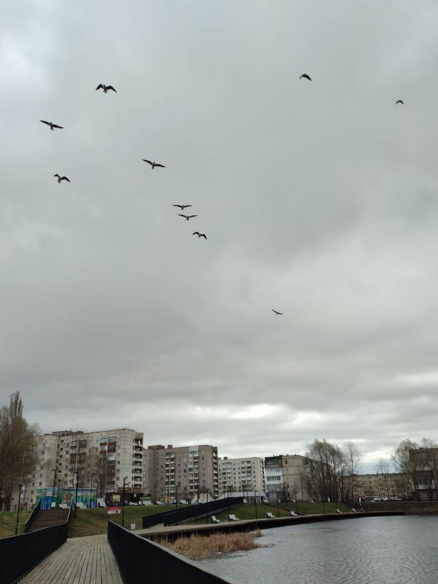 Красота в глазах смотрящего...
