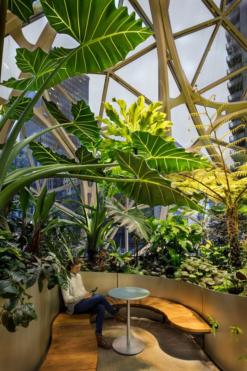 Amazon Spheres | NBBJ | Seattle, USA