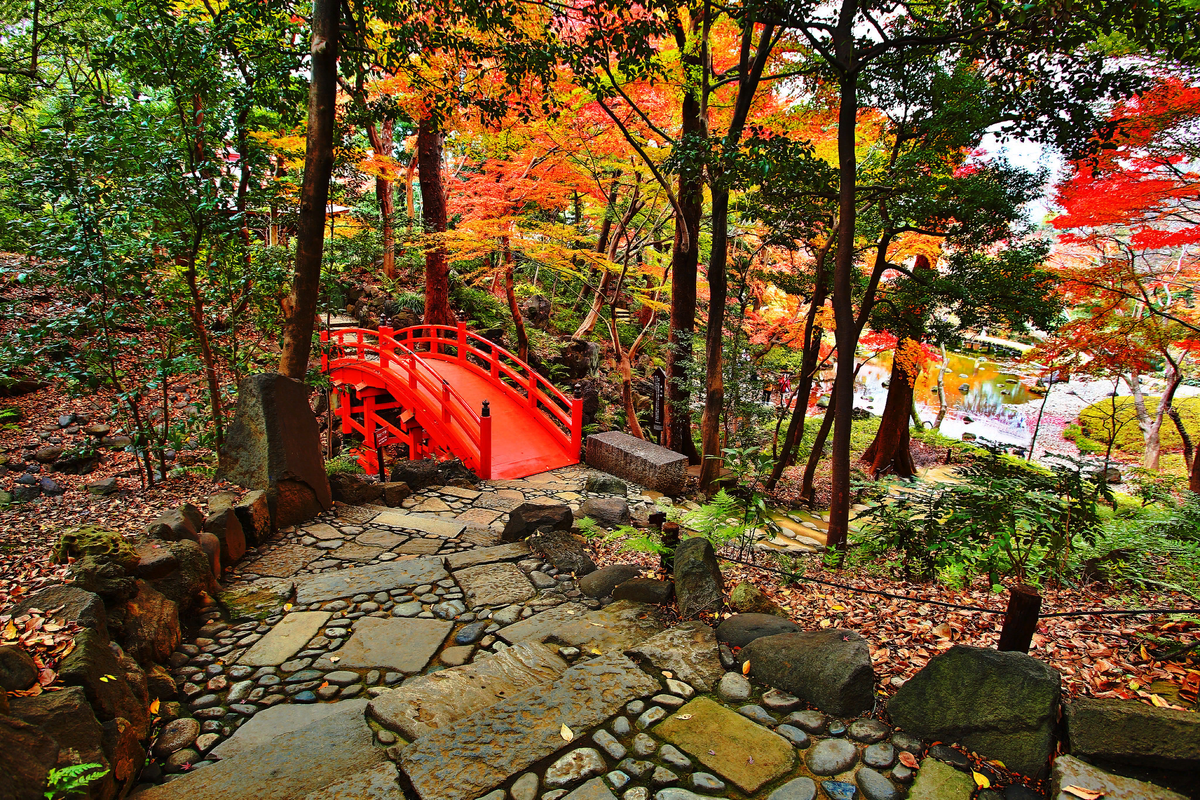  сад Коисикава