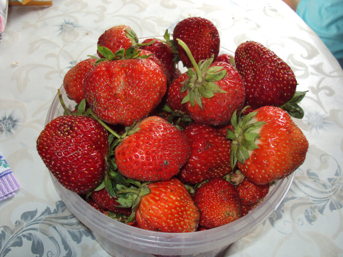 Приготовила для заготовок