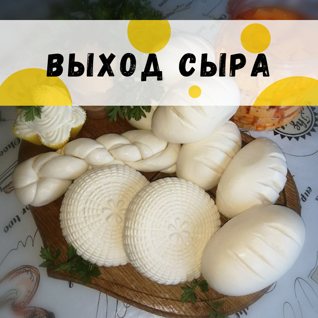 Выход сыра. На что обратить внимание?