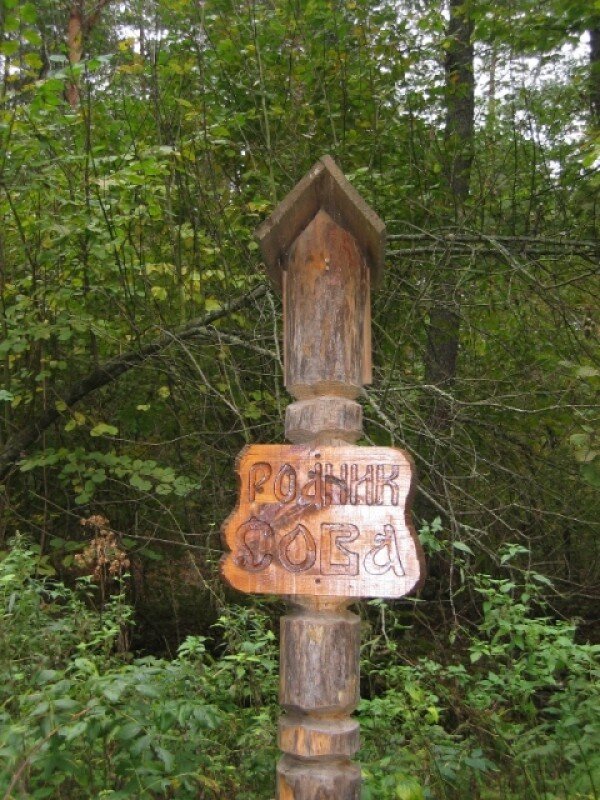 Родник. Фото из открытых источников.