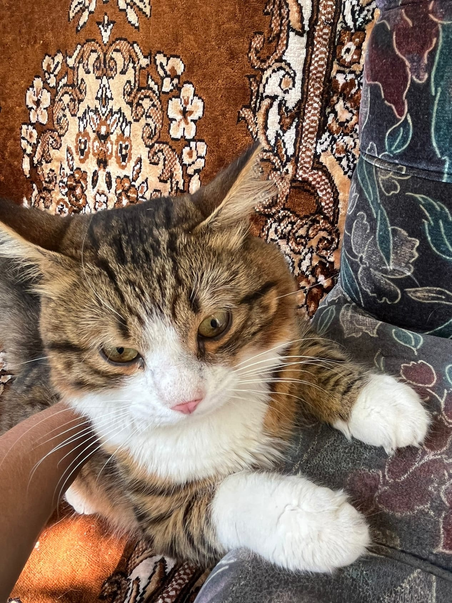 Фиджи, фото автора