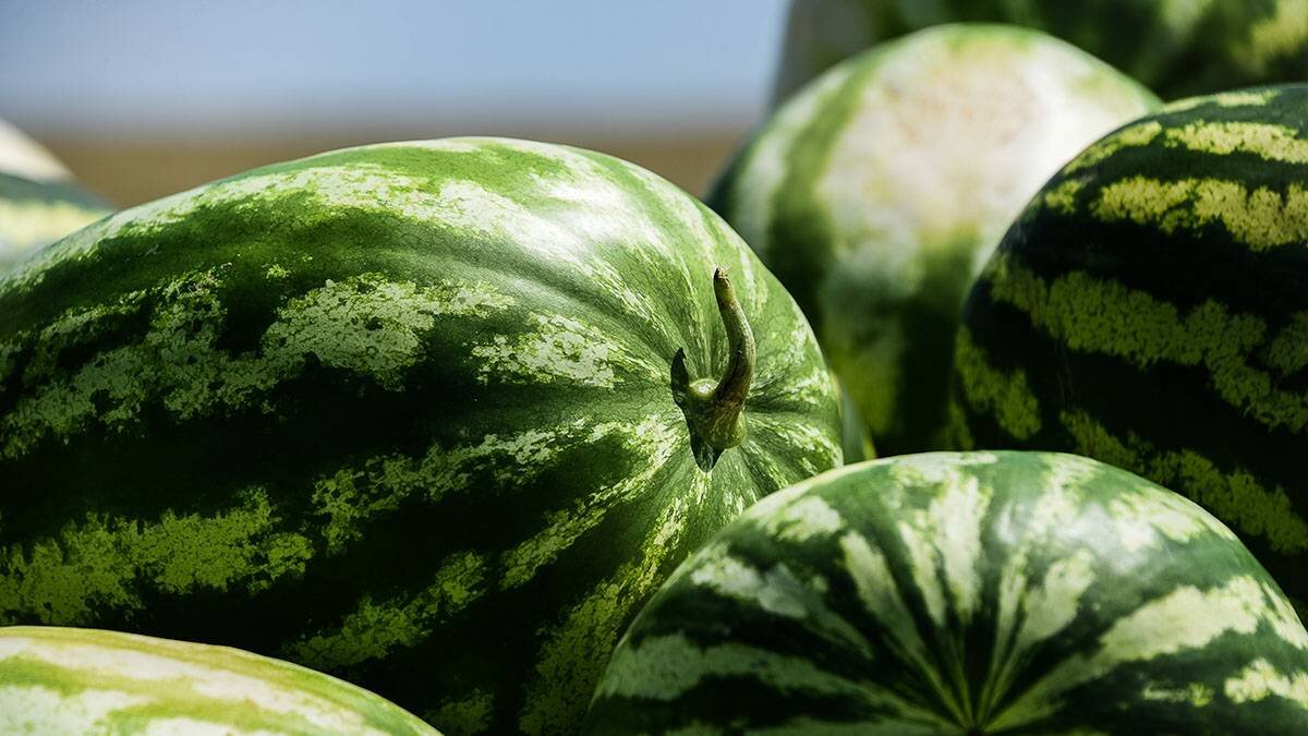    Фото: shutterstock