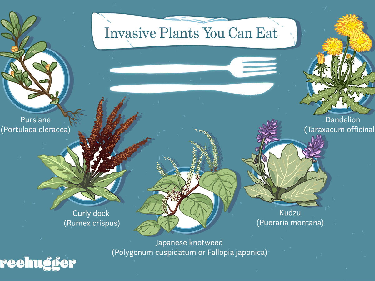 Ну, это в общем спойлер для статьи.