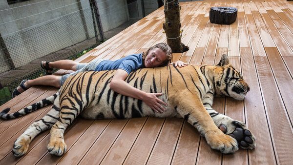 Обложка © Shutterstock