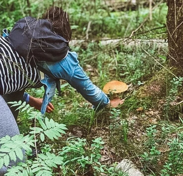 Как упали на четвереньки и поползли.. (Взято из Яндекс картинки) 