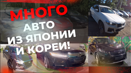 ПРИВЕЗЛИ КРУТЫЕ 🙌🏻 авто c аукционов Японии и Кореи! KIA Sorento, BMW X4, HYUNDAI SantaFe, Accord!