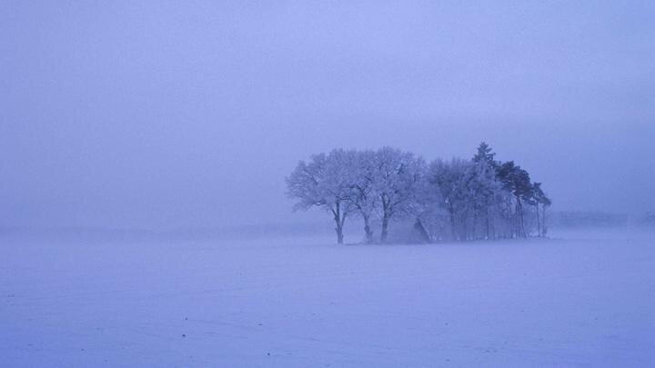 © WOLFGANG REDELEIT/IMAGEBROKER.COM/GLOBALLOOKPRESS