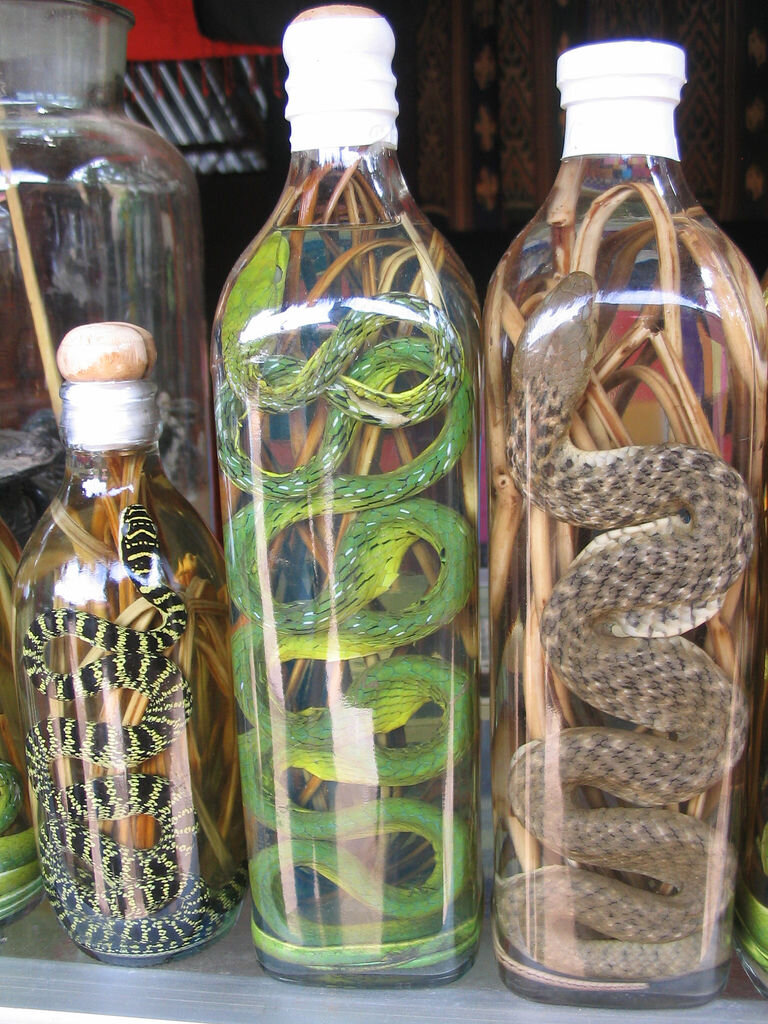 Яндекс картинки