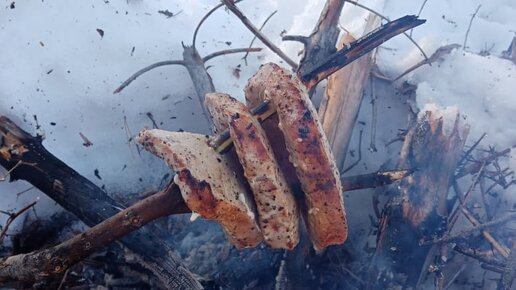 На лыжах по лесу. Жарю мясо на костре