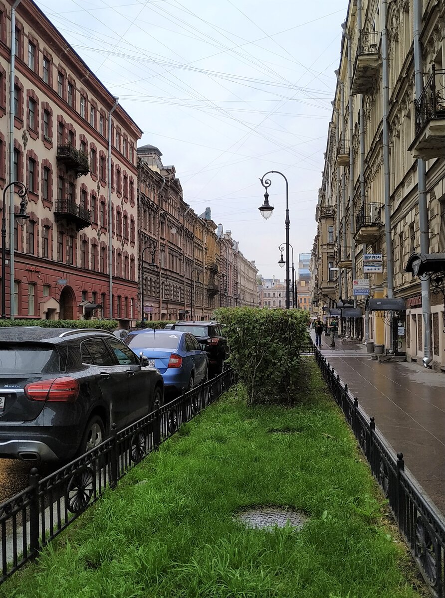 Пушкинская улица в сторону к Невскому проспекту (фото автора)