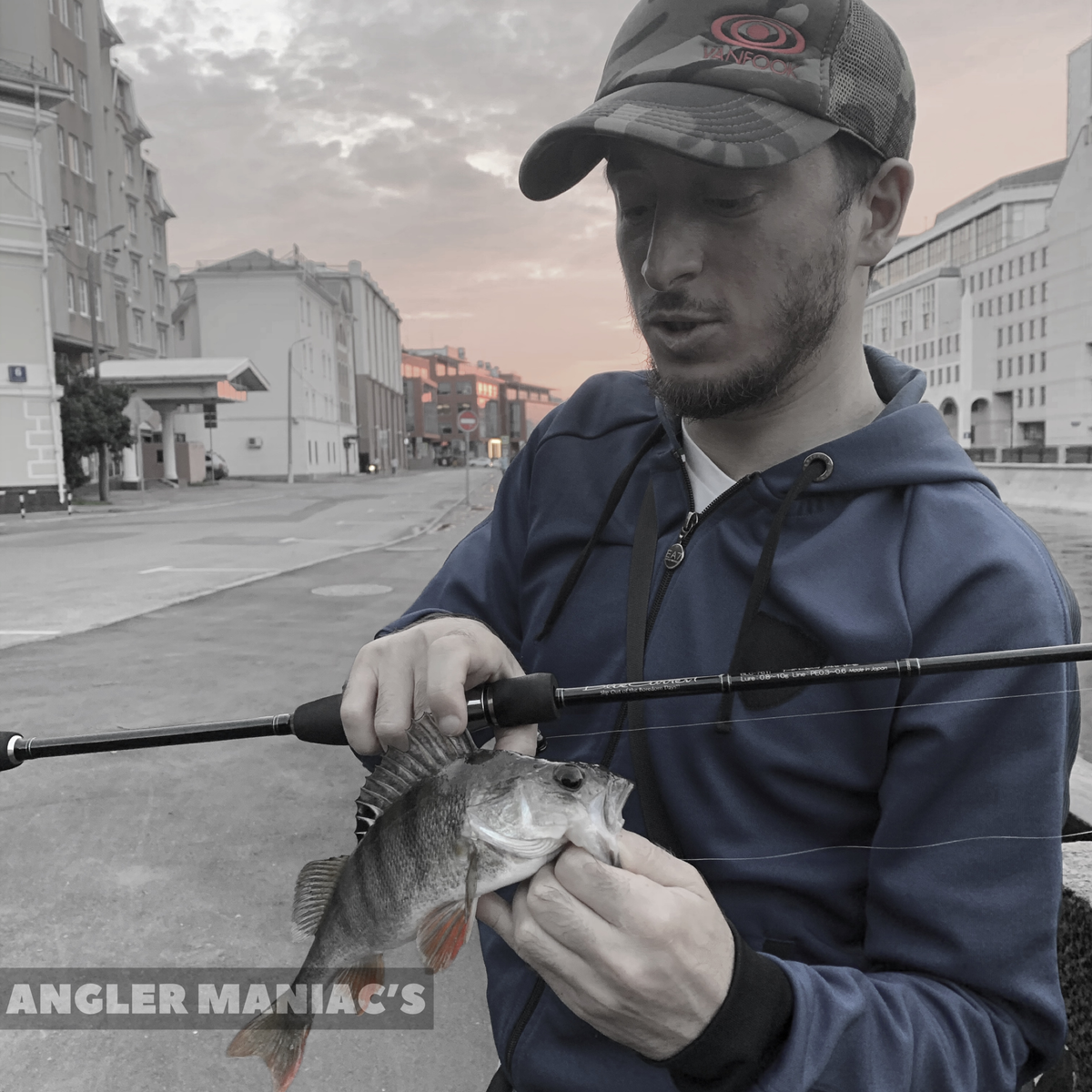 Первым попался окунь, на Ecogear GRASS MINNOW