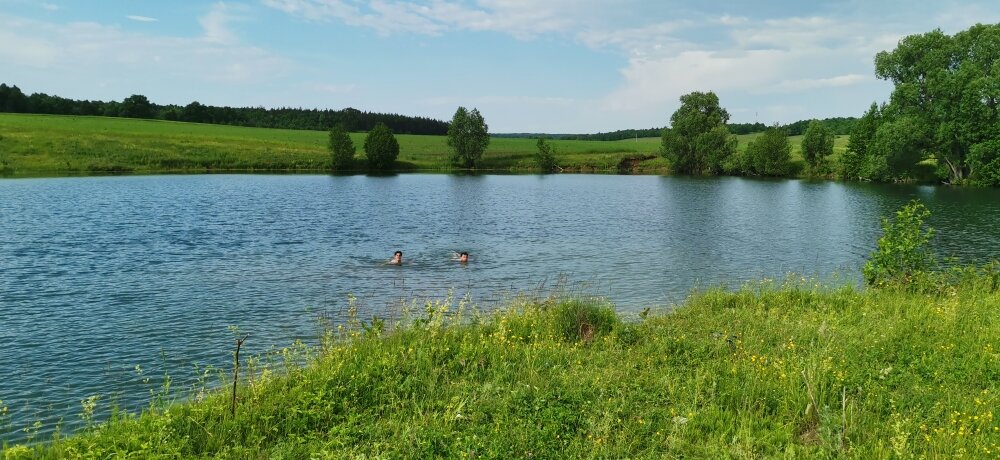 Купаемся в пруду