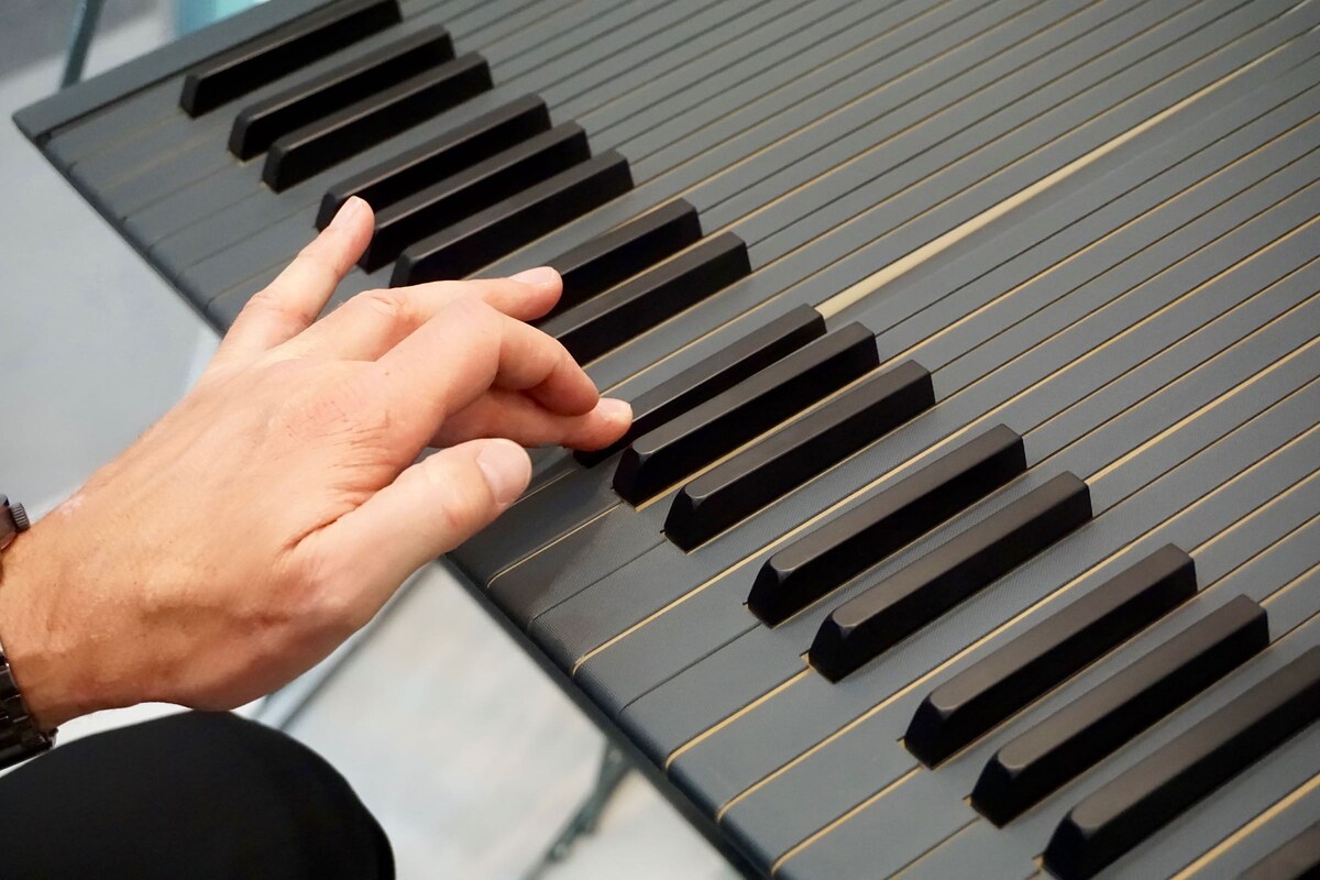 Фото взято из открытых источников