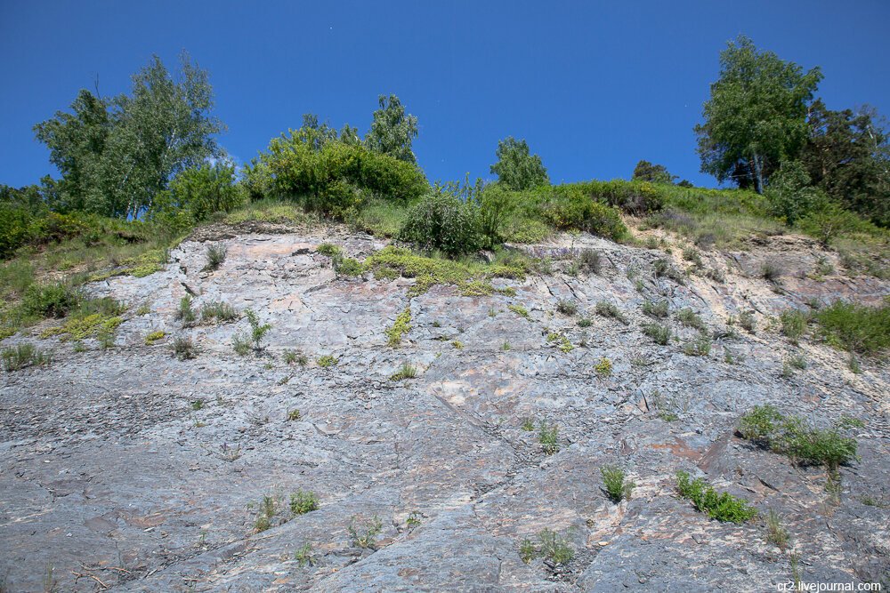 синий утес томск. синий утес томск. синий утес томск памятник природы. синий утес томск. синий утес томская область.