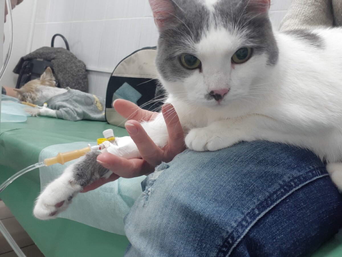 Фотография из личного архива