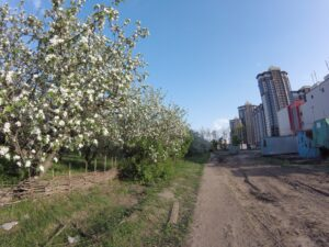 Скейт-парк, амфитеатр и фотозоны: воронежцы предложили проекты сохранения и благоустройства яблоневых садов. Вместо новых многоэтажек жители предлагают создать современную зону отдыха, которая станет любимым местом и детей, и взрослых.