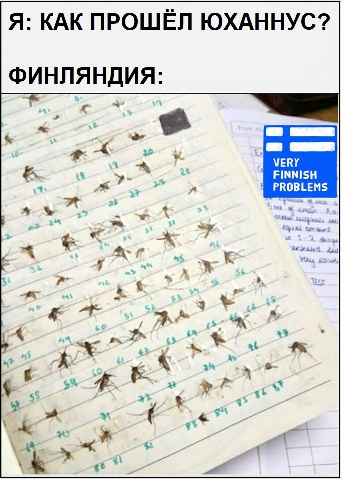 Оригинал изображения: Very Finnish Problems