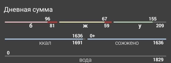 По калориям так, но вечером добирала сыром