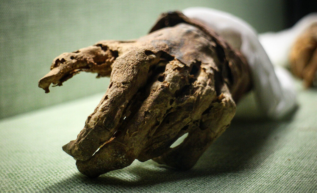 Источник: saomos.news