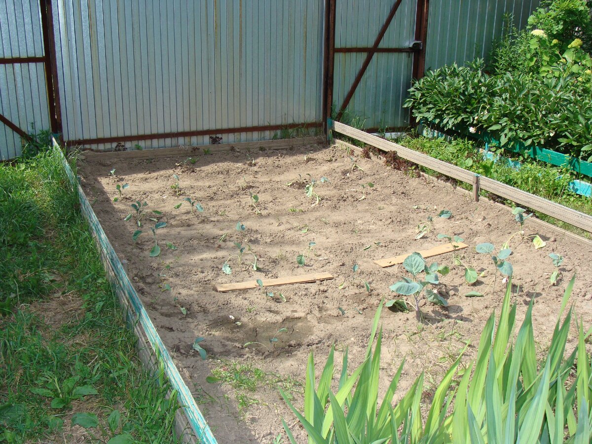 Фото из личного архива.